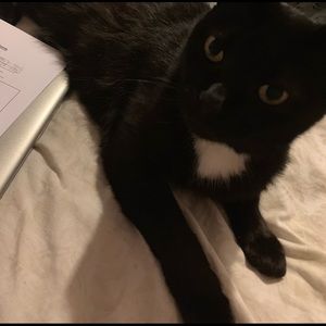 Meet your Posher, Diane